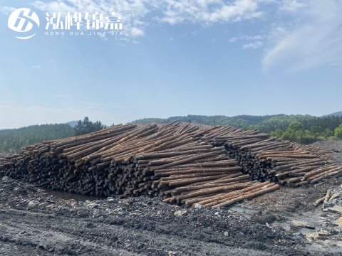 河道打樁為什么選擇松木樁來處理軟地基？-松木樁施工使用范圍