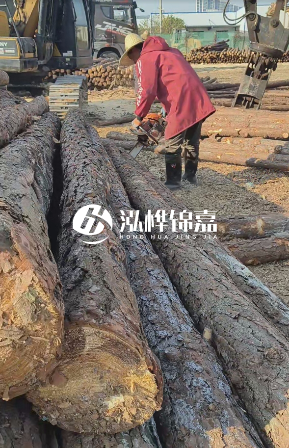 長(zhǎng)沙打樁木批發(fā)廠家在哪里？聯(lián)系方式是什么？