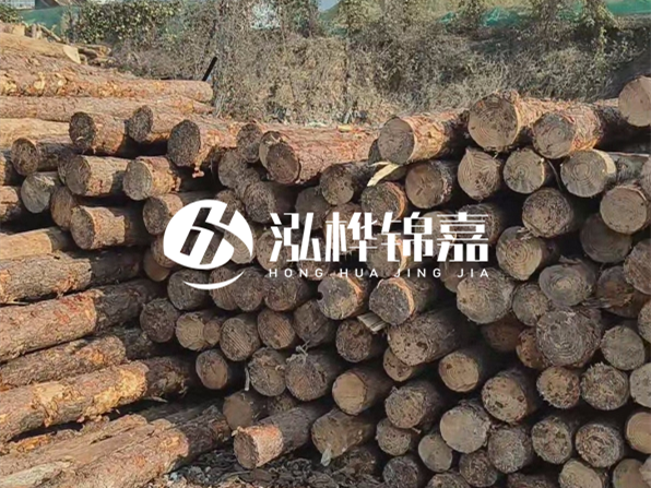 落葉松木材的主要產(chǎn)地在哪里？為什么比其他松木更耐腐蝕？