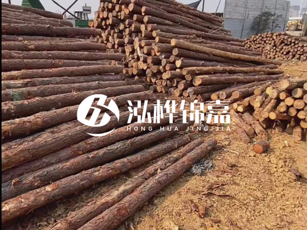 河道木樁施工遇到淤泥怎么辦？打多深才能防沖刷？