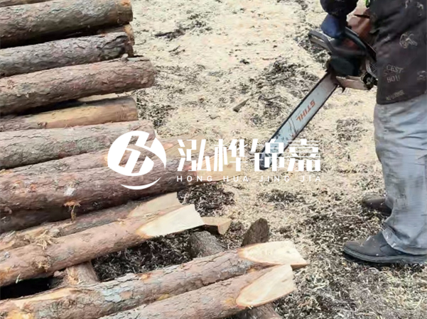 杉木樁批發(fā)廠家哪家好？產(chǎn)地直供渠道推薦！