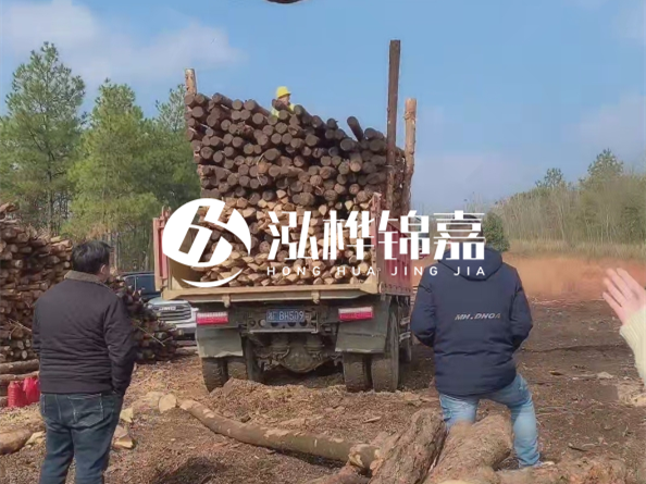 松木樁價(jià)格是按米算還是按根算？6米松木樁批發(fā)價(jià)每根多少錢？