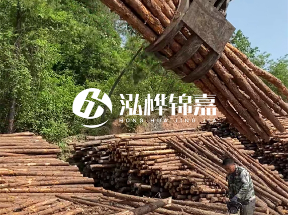 哪里能買到優(yōu)質(zhì) 3 米松木樁？長沙有松木樁批發(fā)工廠嗎？
