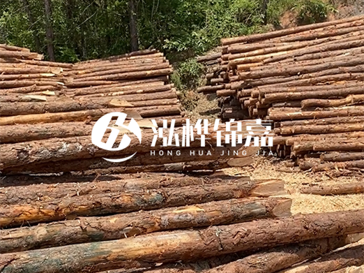 松木樁的運(yùn)輸費(fèi)用是否包含卸車費(fèi)？卸貨時(shí)需要注意哪些安全問題？