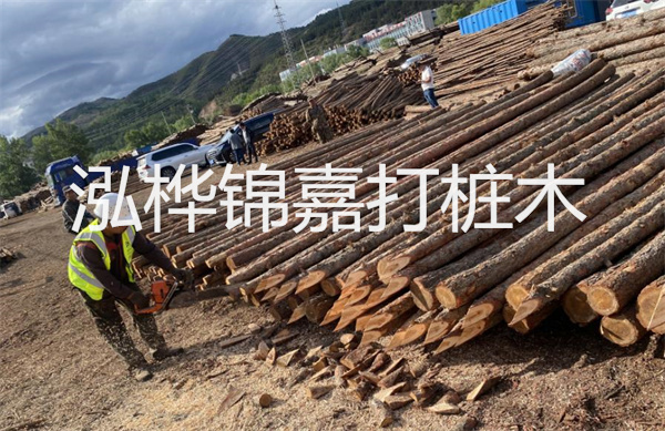 福建河道松木樁施工：為河道生態(tài)保護增添堅實保障